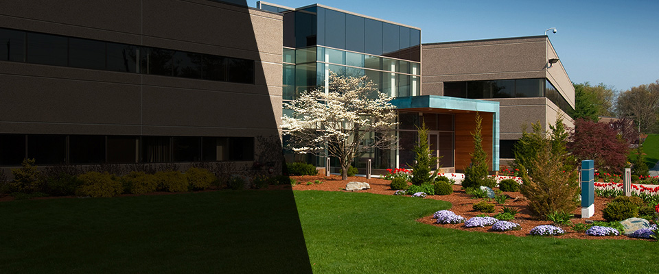 Laguna Niguel Landscapers